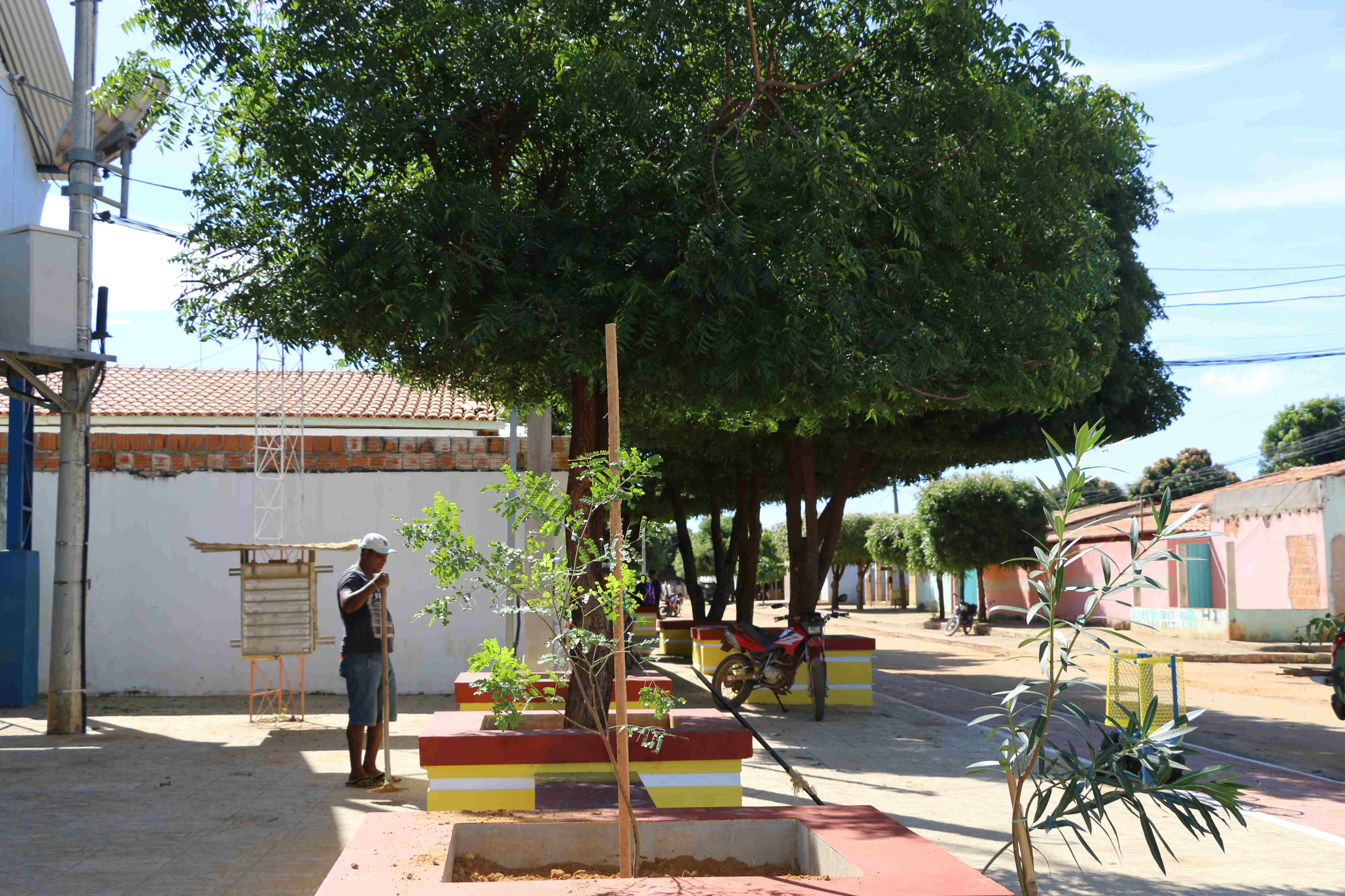 Foto